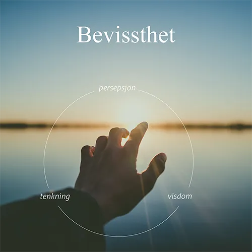 Intipakucha - Bevissthet