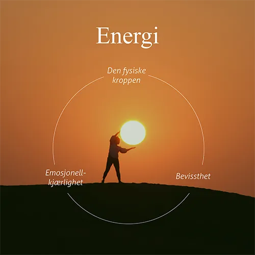 Intipakucha - Energi