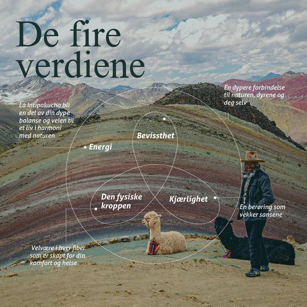 Intipakucha - De fire verdiene